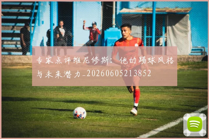 专家点评维尼修斯：他的踢球风格与未来潜力_20260605213852